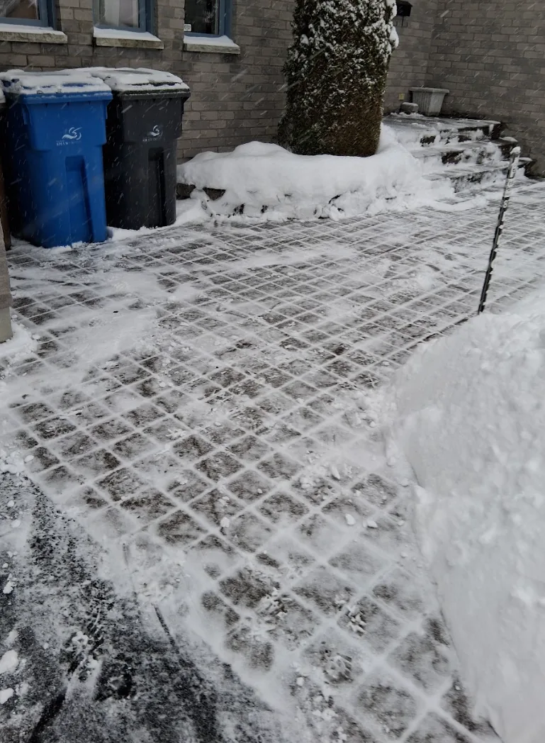 Passage piétonnier pavé dégagé près des bacs roulants d’un immeuble