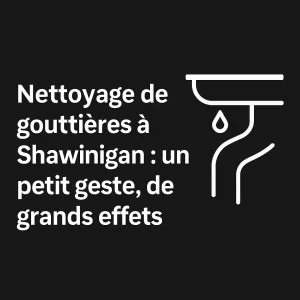 Nettoyage de gouttière Shawinigan