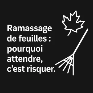 Ramassage de feuille morte Shawinigan